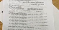 Câu 2. Trong hợp chất NaCl nguyên tử S