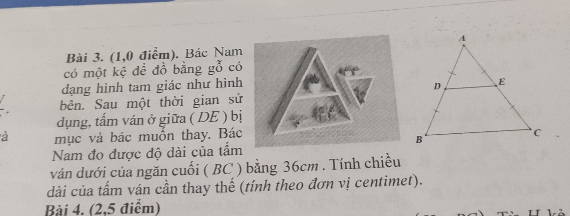 Bác Nam có một kệ để đồ bằng gỗ có dạng hình tam giác như hình bên .Sau một thời gian sử dụng, tấm ván ở giữa (DE) bị mục và bác muốn thay .Bác Nam đo đc độ dài của tấm ván cần thay thế (tính thể đơn vị cm).