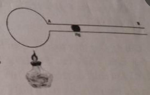 Hỏi đáp VietJack