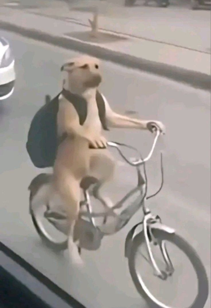 Hỏi đáp VietJack