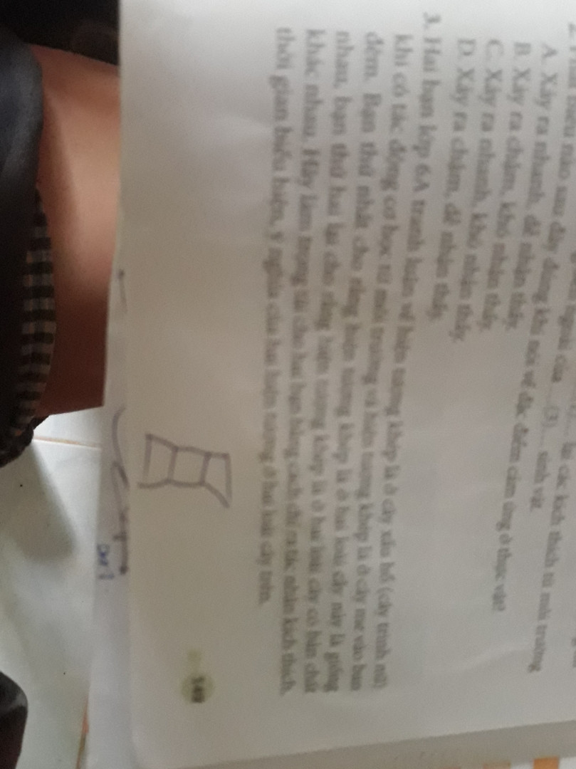 Hai bạn lớp 6A tranh luận về hiện tượng khép lá ở cây xấu hổ (cây trinh nữ) khi có tới tổng cơ học từ môi trường và hiện tượng ghép lá ở cây me vào ban đêm. Bạn thứ nhất cho rằng hãy thử các lá ở hai loài cây này giống nhau ,bạn thứ hai lại cho rằng hiện tượng thép lá ở hai loại cây có bản chất khác nhau. Hãy làm trọng tài cho hai bạn bằng các chị đó tác nhân kích thích từ trong biểu hiện ý nghĩa của hai hiện tượng ở hai loài cây trên.