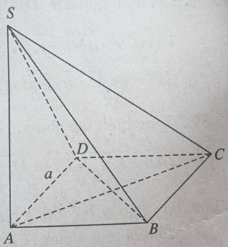 Hỏi đáp VietJack