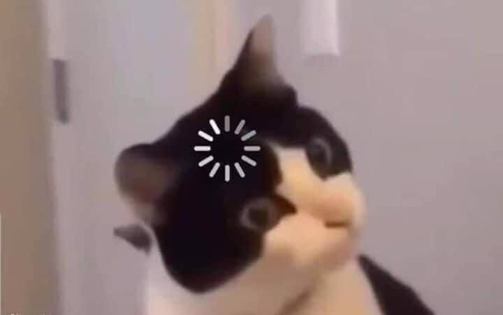 Hỏi đáp VietJack