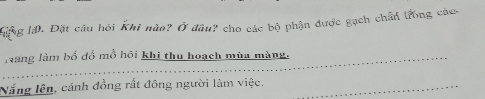 Viết đoạn văn ngắn về một việc làm bảo vệ môi trường mà em được chứng kiến hoặc tham gia