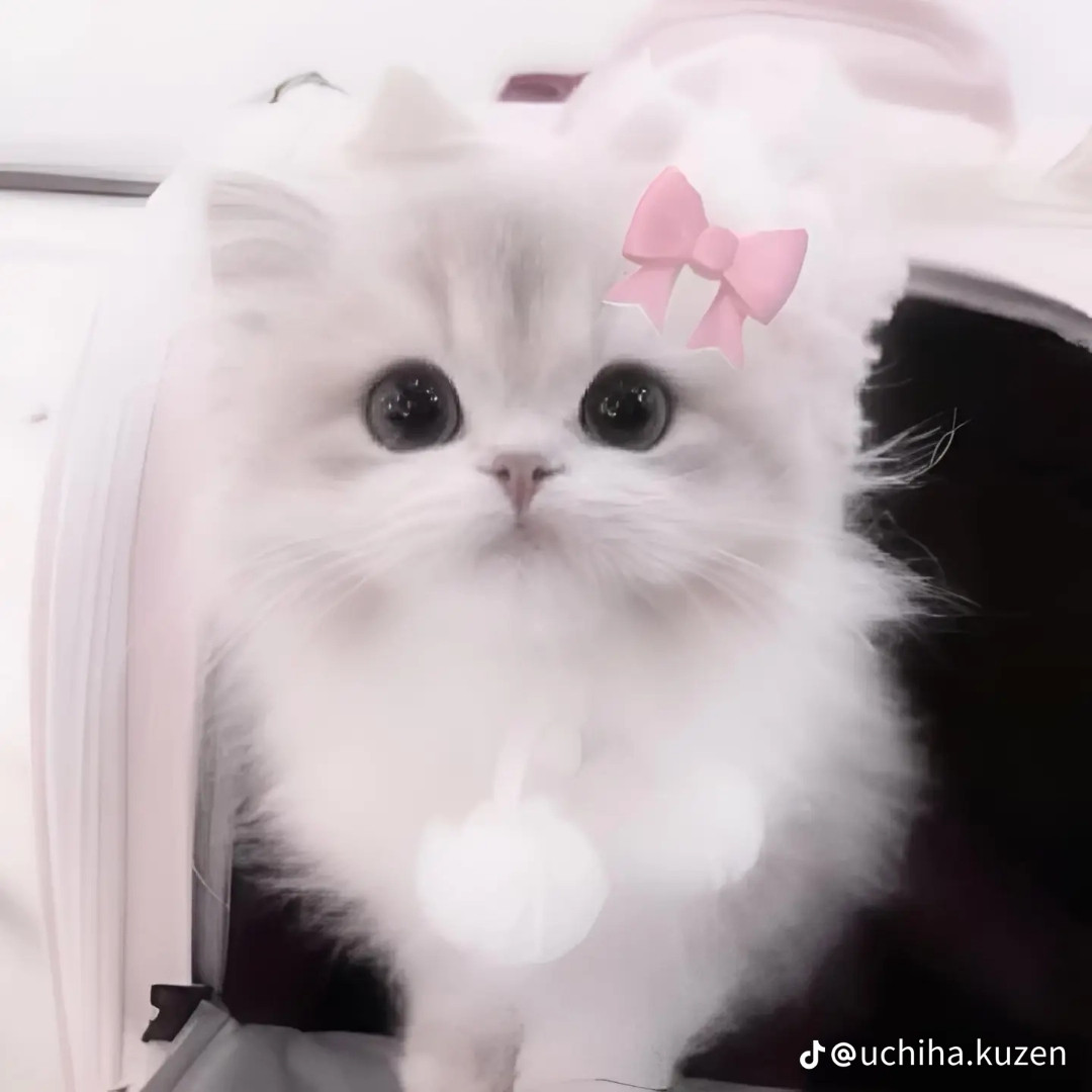 Một bể chứa dầu hình hộp chữ nhật có chiều dài 4 m chiều rộng 3 m thì chiều cao 2,5 M biết rằng 60% thể tích của bể đang chứa dầu tính chiều cao của mực dầu trong bể.