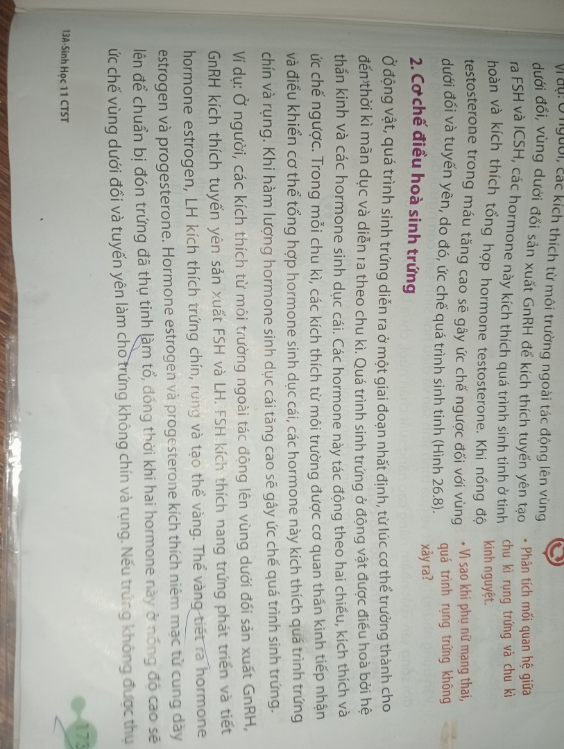 Thời kỳ mang thai không có trứng chín và rụng vì 
(A) khi nhau thai được hình thành thì thể vàng tiết ra hormone estrogen và progesterone với nồng độ cao ức chế sự tiết ra FSH và LH của tuyến yên. (
B) khi nhau thai được hình thành sẽ tiết ra hormone kích dục nhau thai ức chế sự tiết ra FSH và LH của tuyến yên. 
© khi nhau thai được hình thành sẽ duy trì thể vàng tiết ra hormone progesterone ức chế sự tiết ra FSH và LH của tuyến yên.
 (D) khi nhau thai được hình thành sẽ tiết ra hormone kích dục nhau thai (HCG) duy trì thể vàng tiết ra hormone progesterone ức chế sự tiết ra FSH và LH của tuyến yên.”