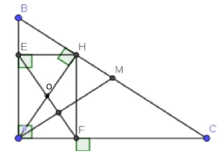 Hỏi đáp VietJack