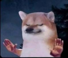 Hỏi đáp VietJack