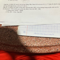 Cho tam giác ABC, hai đường trung tuyến BM và CN cắt nhau tại G. Trên tia GB