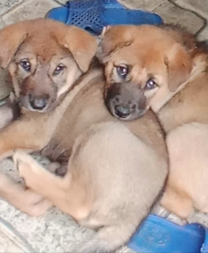 Tại sao không tập trung vào các trường đại học cao đẳng năm