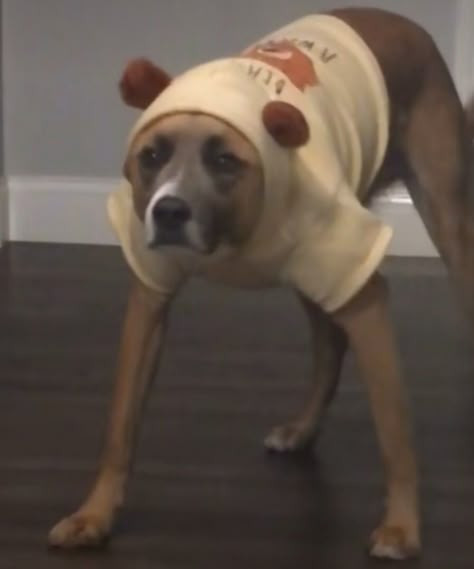 Hỏi đáp VietJack