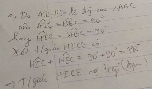 Hỏi đáp VietJack