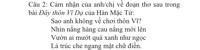 cảm nhận của anh chị về bài thơ chiều tối