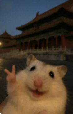 Hỏi đáp VietJack