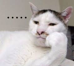 Hỏi đáp VietJack