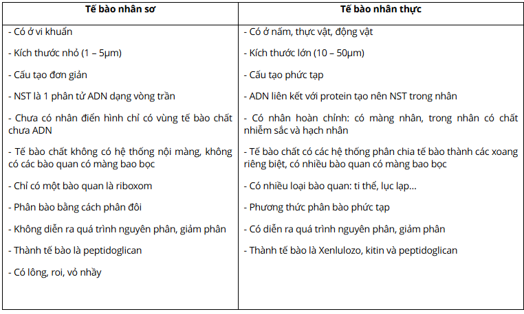 Hỏi đáp VietJack