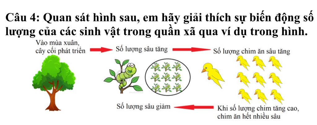 Hỏi đáp VietJack