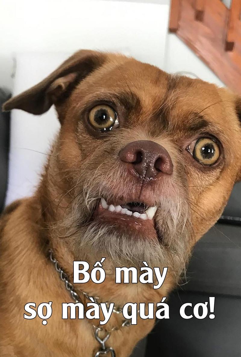 Hỏi đáp VietJack