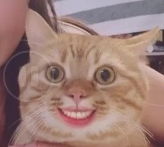 Hỏi đáp VietJack