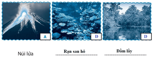 Hỏi đáp VietJack