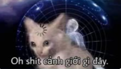 Hỏi đáp VietJack