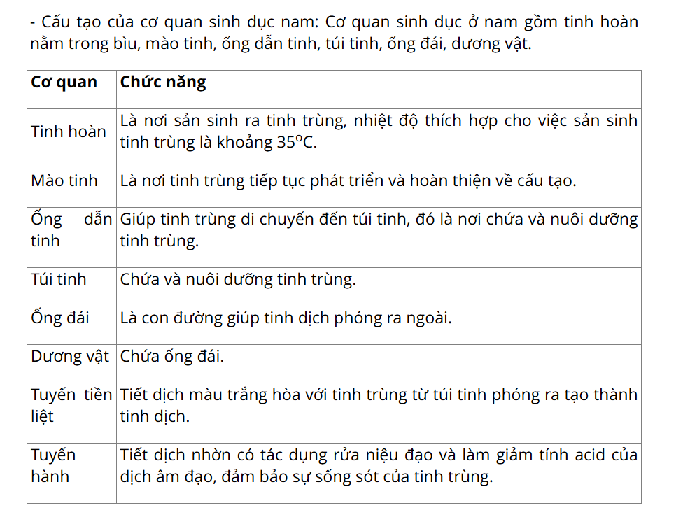 Hỏi đáp VietJack