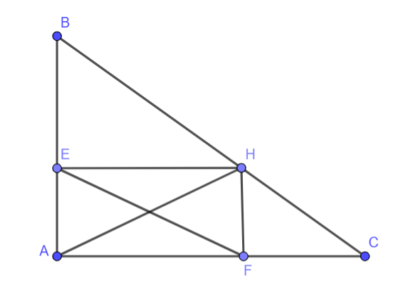 Hỏi đáp VietJack