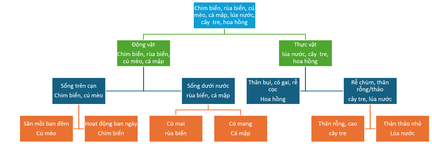 Hỏi đáp VietJack