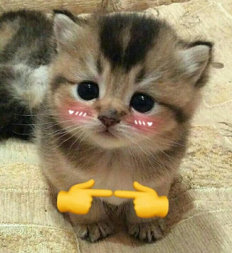 Hỏi đáp VietJack