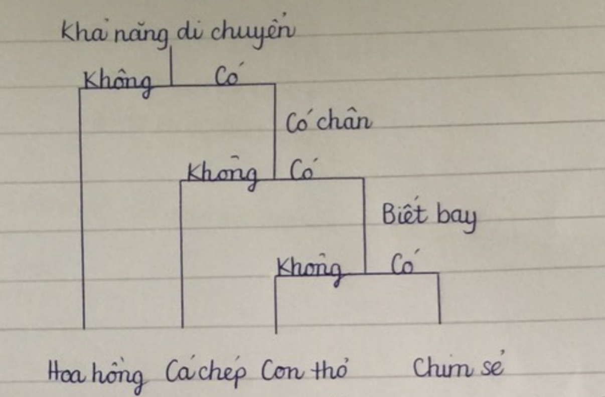 Hỏi đáp VietJack